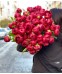 Пион Ред Шарм (Red Charm)